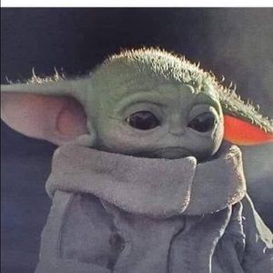 Meet your Posher, Lilia